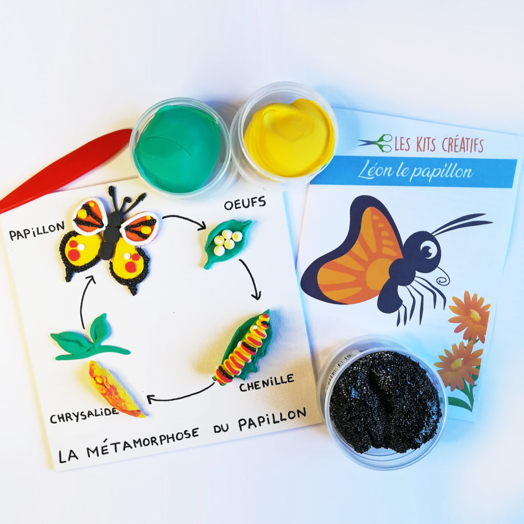 bricolage enfant fabriquer cycle metamorphose papillon