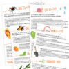 fiche pedagogique pdf insecte araignee papillon chenille vers terre escargot petite bete maternelle primaire cycle 1 2