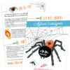 fiche pedagogique pdf insecte araignee petite bete maternelle primaire cycle 1 2