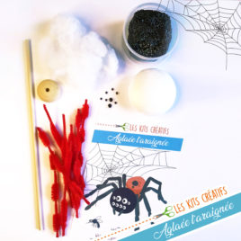 kit creatif halloween modelage araignée