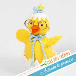 kit creatif enfant modelage animaux poussin kawaii