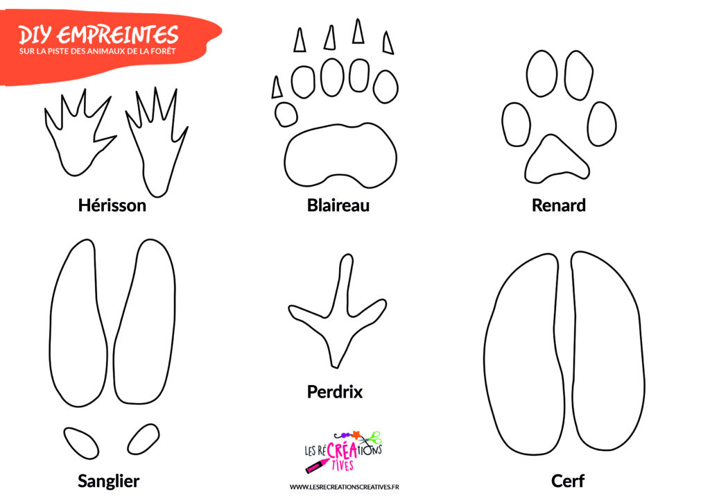 Activité bricolage : comment fabriquer des empreintes d'animaux ?