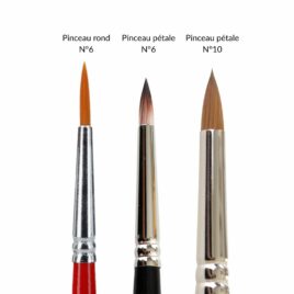 comparatif pinceau rond et pinceau pétale