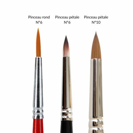 comparatif pinceau rond et pinceau pétale